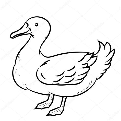 The images above represents how your finished drawing is going to look and the steps involved. Pictures: line drawing simple | Line Drawing of Duck ...