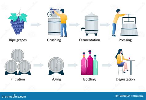 Steps Of Wine Production Process Vector Infographics Stock Vector