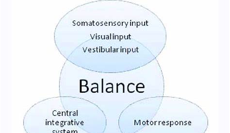 Components of Balance Control. | Download Scientific Diagram