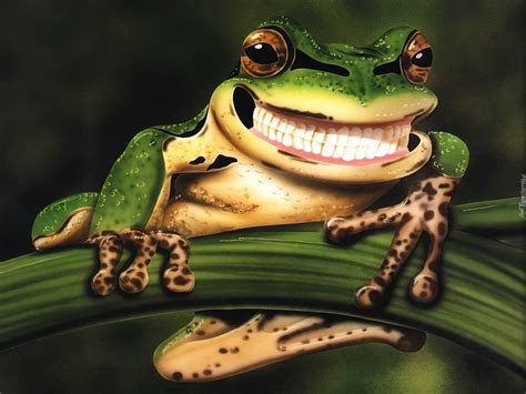Żaba Uśmiech Zęby