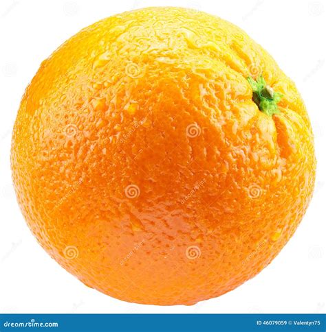 Orange Isolated On A White Background Stock Image Image Of Skin
