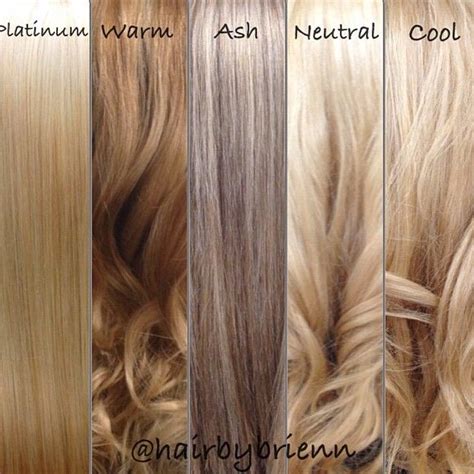 Whether it is to spruce up hair that is already blonde with some highlights or 'go blonde' by bleaching your brunette locks, there are so many different colors and coloring techniques to below, we have put together a list of blonde hair color ideas to help you make heads turn with the right shade. Love these guides! Such a great visual aid for ...