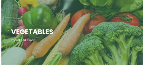 Agrostar Vegetables Kft Wholesalers Markets