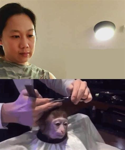 Funny gifs, videos, barber memes, barber gifs memes. Mark Zuckerberg Got A Home Haircut And Was Instantly Meme'd
