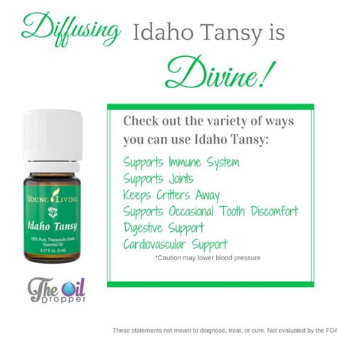 Clary sage, sage, idaho tansy, hyssop, fennel, wintergreen, myrrh, nutmeg & cinnamon. 17 Best images about Young Living Essential Oils on ...