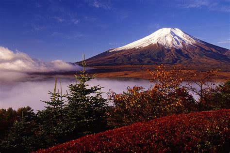 Mount Fuji In Autumn Photograph By Michele Burgess