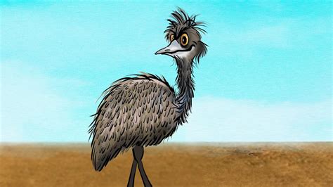 Run Emu Run Animated Video Clip Youtube
