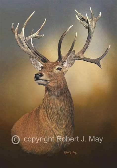 original red deer head study painting
