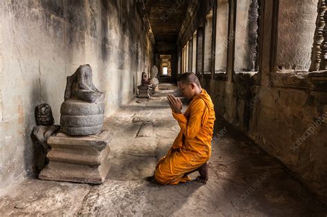 Young Buddhist Monk Praying In Temple Cambodia Stock Image F019