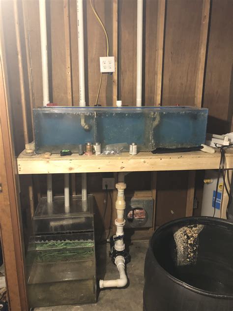 Large Build Update Two 210 Gallon Display Tanks With Fish Room