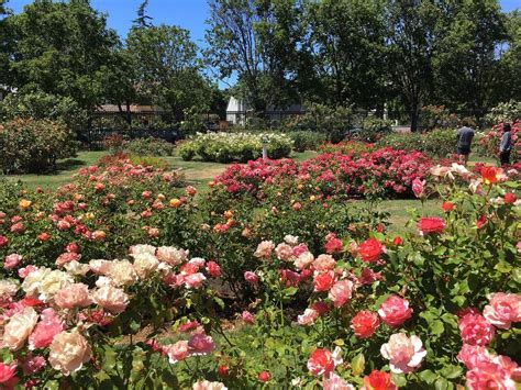 Puyallup community garden has 124 posts on their instagram profile. Rose Garden Inn San Luis Obispo Tripadvisor - GARWDEN