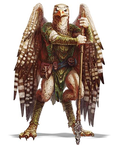 Dnd 5e Can An Aarakocra Look Like Any Bird Role Playing Games
