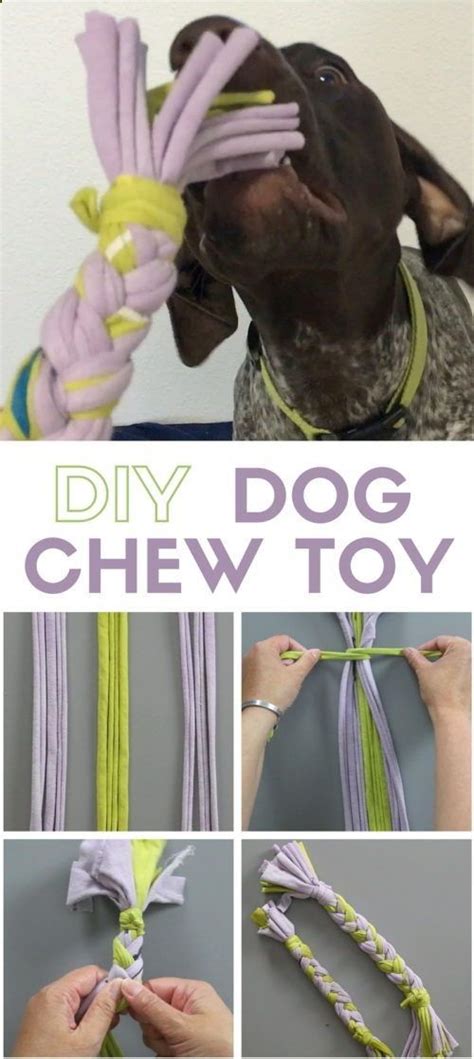 Learn How To Make A Dog Chew Toy Using Your Old T Shirts Your Best