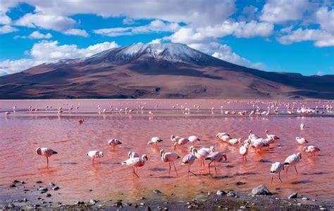9 Stunning Natural Wonders In Bolivia You Must See Kuoda Travel