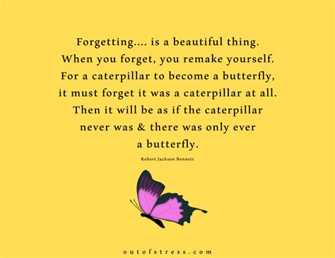 36 Butterfly Quotes That Will Inspire And Motivate You
