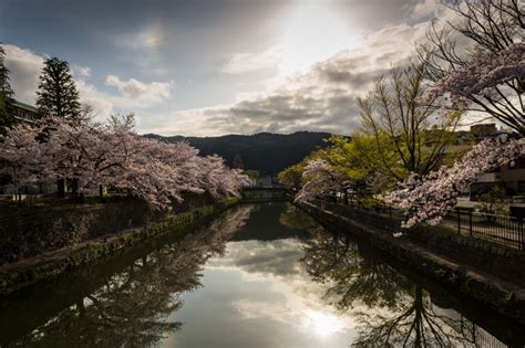 Where to Shoot Cherry Blossoms in Japan: A Practical Photo Guide