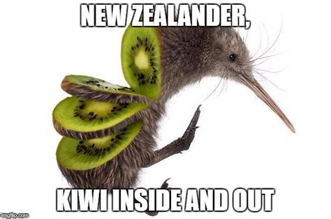 New Zealander Imgflip