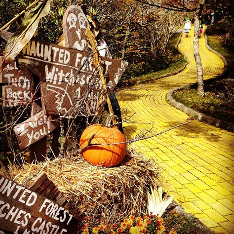 North Carolinas Defunct ‘land Of Oz Theme Park Reopening For Tours In