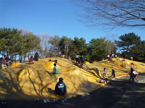 Enjoy Hitachi Seaside Park And Its 4 Vibrant Seasons Of Flowers｜the Gate