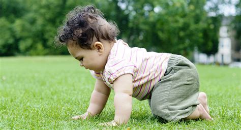 When Do Babies Crawl Properly Kitty Childers