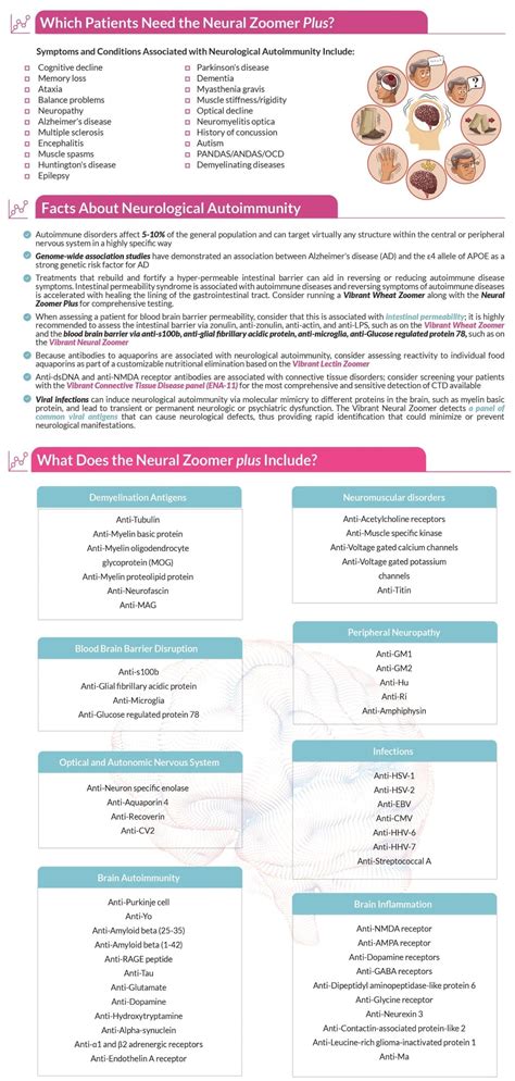 Neural Zoomer - LifeMed Institute