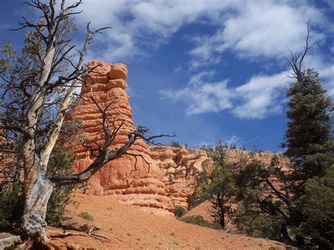Check spelling or type a new query. The Bavard: Camping in the Southwest Desert: Part I