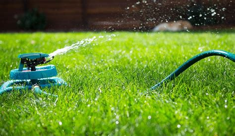 Winter Care How To Keep Your Grass Green All Winters Gorkhouse