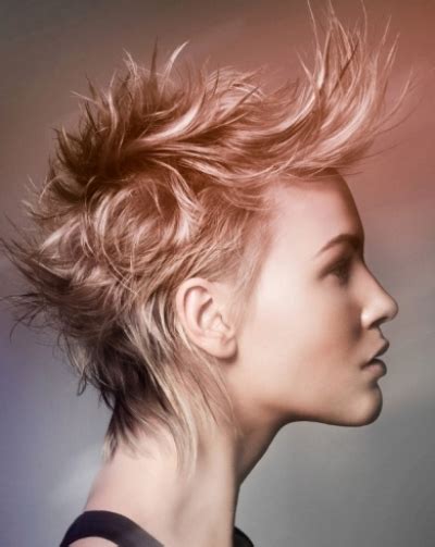Punk Short Hairstyles ~ Review Hairstyles