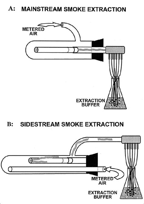 Difference Of Mainstream And Sidestream Cigarette Smoke Exposure Download Scientific Diagram