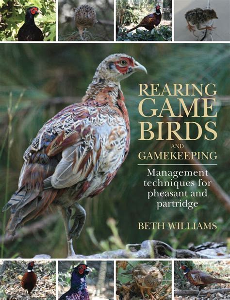 Pin On Shooting And Field Sports Quiller Publishing