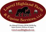 Laurel Road Veterinary Clinic Photos