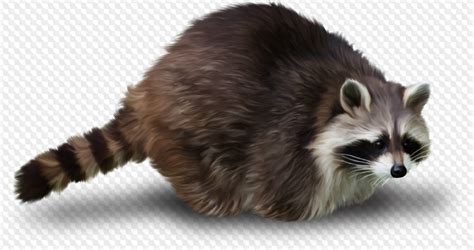 Seal, giraffe, monkey, lizard, dolphin, hippo, crocodile, whale. ANIMALS 166 PNG: tiger, squirrel, cat, badger, raccoon ...
