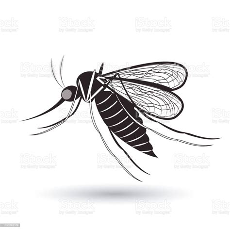 Infectious Gnat Design Stock Illustration Download Image Now Animal