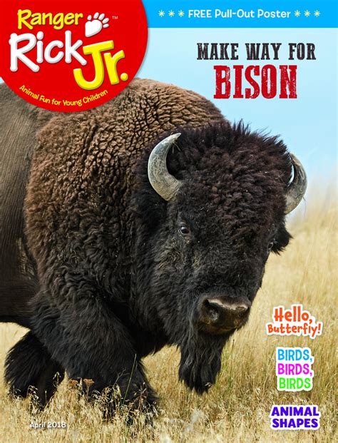 Ranger Rick Jr Nwf Ranger Rick Magazine Subscription Used To Be Your Big Backyard Ranger