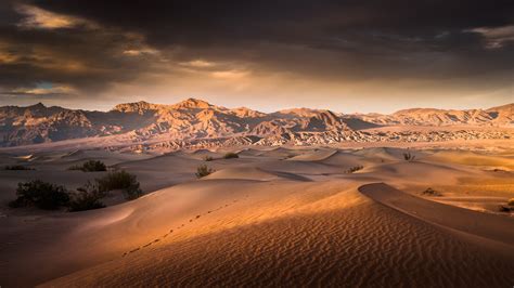 Evening Desert Landscapes