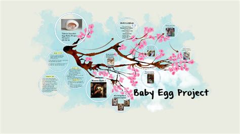 Baby Egg Project By Valerie Sanchez