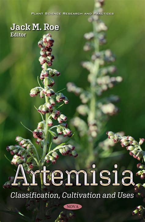 Artemisia Classification Cultivation And Uses Nova Science Publishers