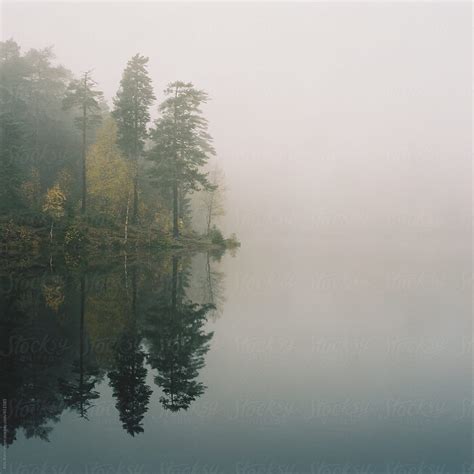 Trees In The Foggy Lake Songsvann In Oslo Norway By Stocksy