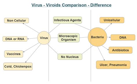 Difference Between Virus And Bacteria Neetlab