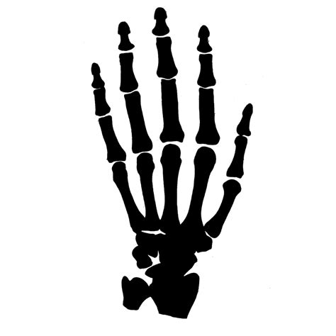 Bone Hand Vector Hand Skeleton Svg Hand Bones PNG Halloween Clipart Hand Cut File Skeleton