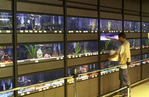 Sauter à la navigation sauter à la recherche. Franchise animaux | Choisir Sa Franchise