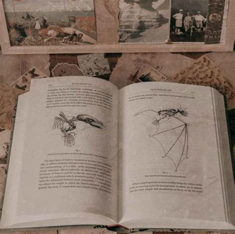 The Ultimate Guide For Light Academia Aesthetic Outfits Room Ideas