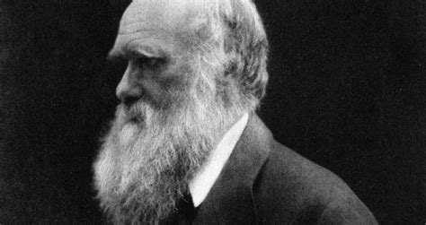 Charles Darwin Not Only Discovered Species He Also Ate Them In A