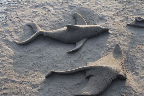 Hd Wallpaper Beach Sand Sculpture Fish Shore Sandcastle No People
