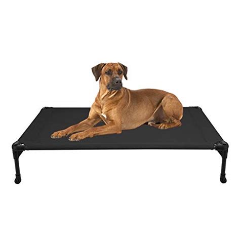 List Of 10 Best Elevated Dog Beds 2023 Reviews