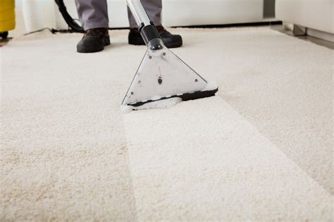 How Often Should You Have Carpet Professionally Cleaned In Indianapolis IN Tish Flooring