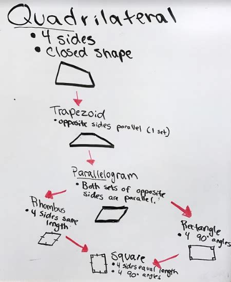 Quadrilaterals answer key pompahydrauliczna eu, 7 5 showing quadrilaterals are parallelograms homework key, 6 angles in quadrilaterals kuta software llc, quadrilaterals properties of parallelograms mrs newell, quadrilaterals and polygons worksheets amp. Unit 4 - Flip Barnwell