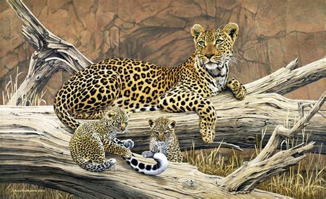 The Leopard Truly Amazing Animal Facts Animals Lover