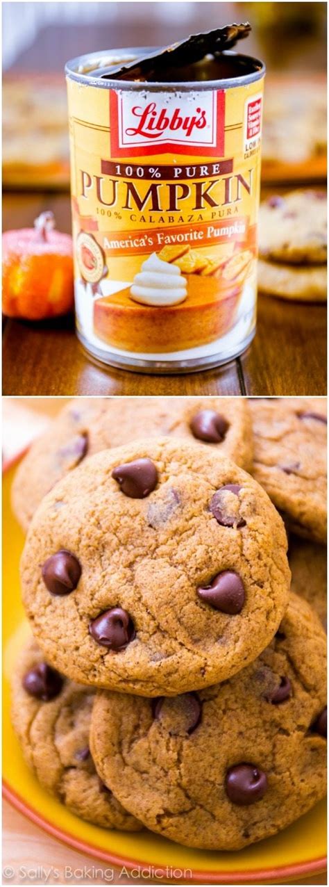 20 Of The Best Ideas For Sallys Baking Addiction Chocolate Chip Cookies