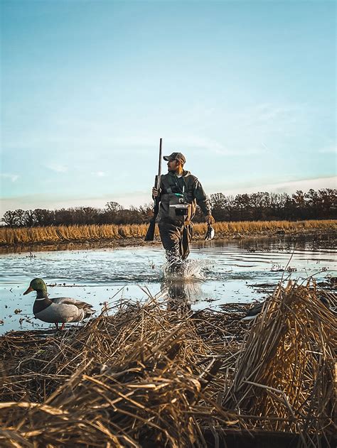 Bayou Bottoms World Class Duck And Goose Hunting Arkansas